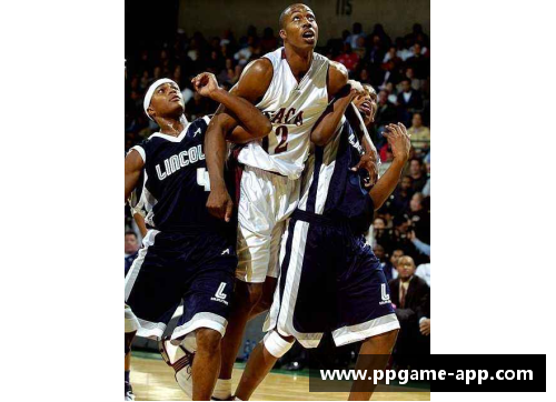 NBA球星画册：探索巨星生涯与传奇风采