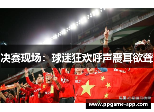 决赛现场：球迷狂欢呼声震耳欲聋